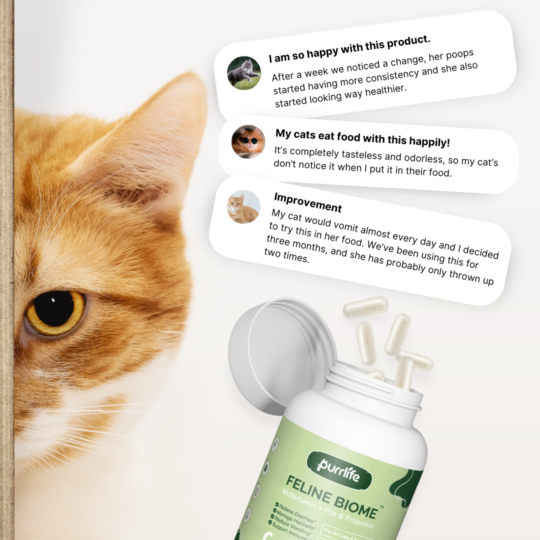 Feline Biome™ - Probiotic Cat Supplement - herbalean