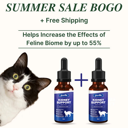 Kidney Support Drops (1+1 FREE)