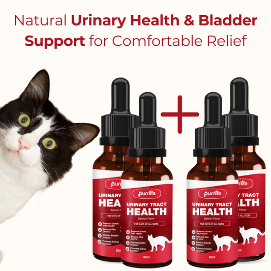 Urinary Tract Drops (2+2 FREE) - One Time Purchase