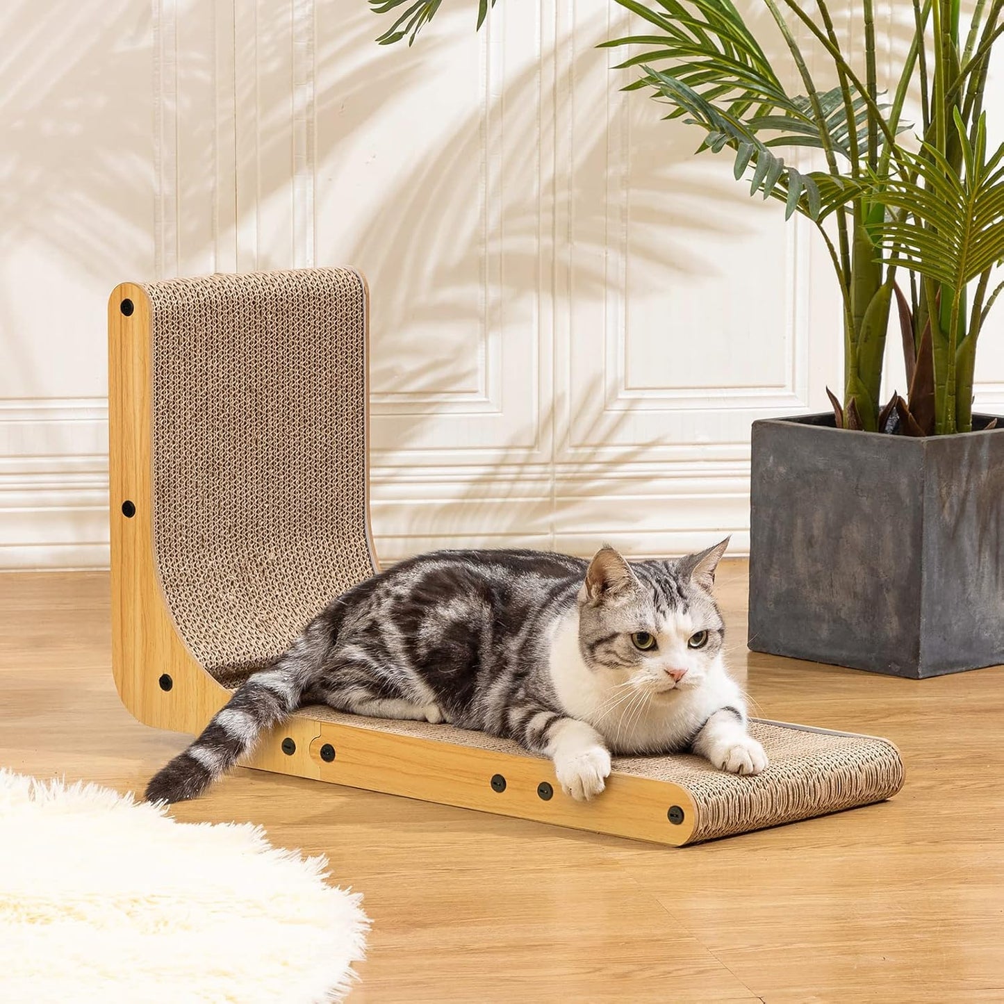 Cat Scratchers for Indoor Cats
