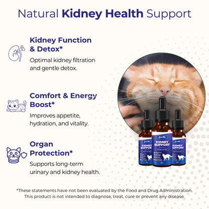 Kidney Support Drops (1+1 FREE)