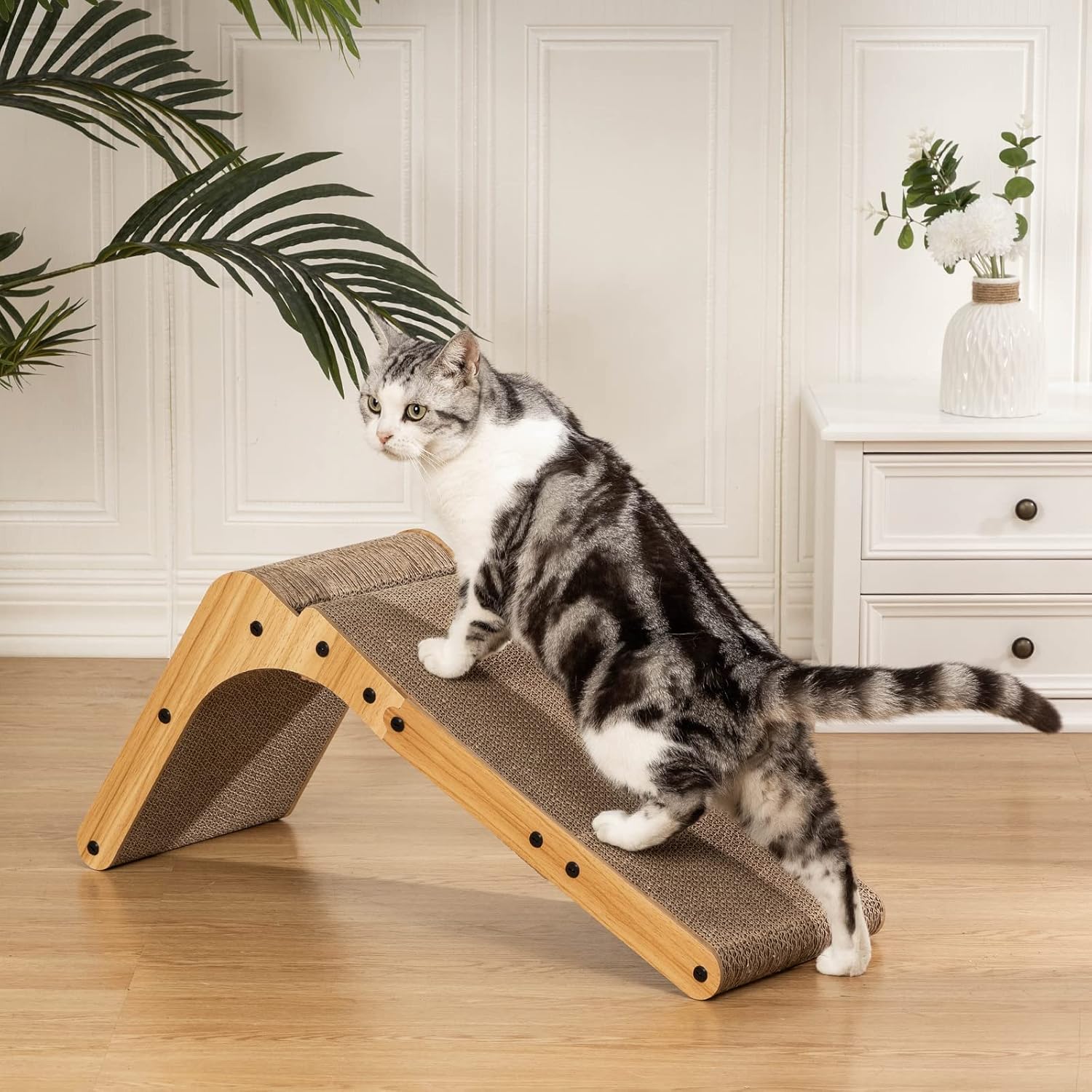Cat Scratchers for Indoor Cats