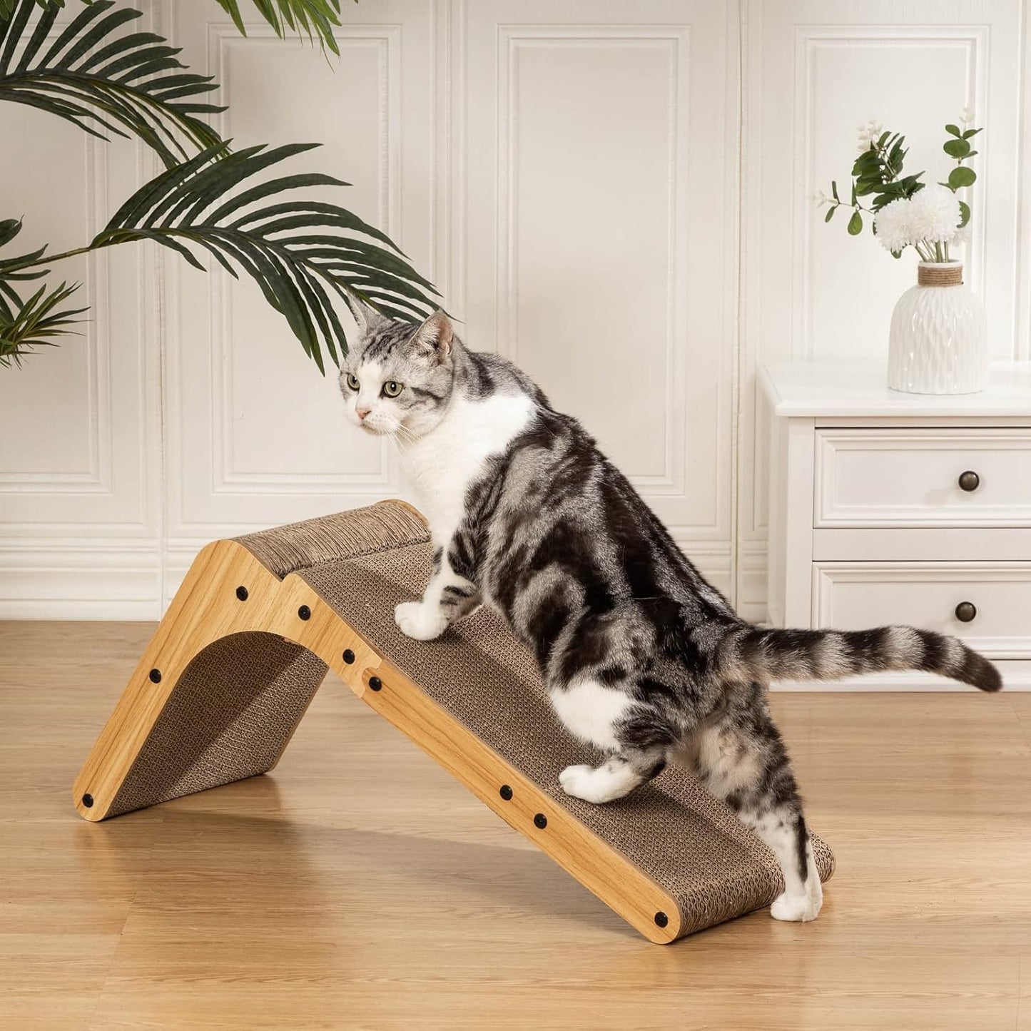 Cat Scratchers for Indoor Cats