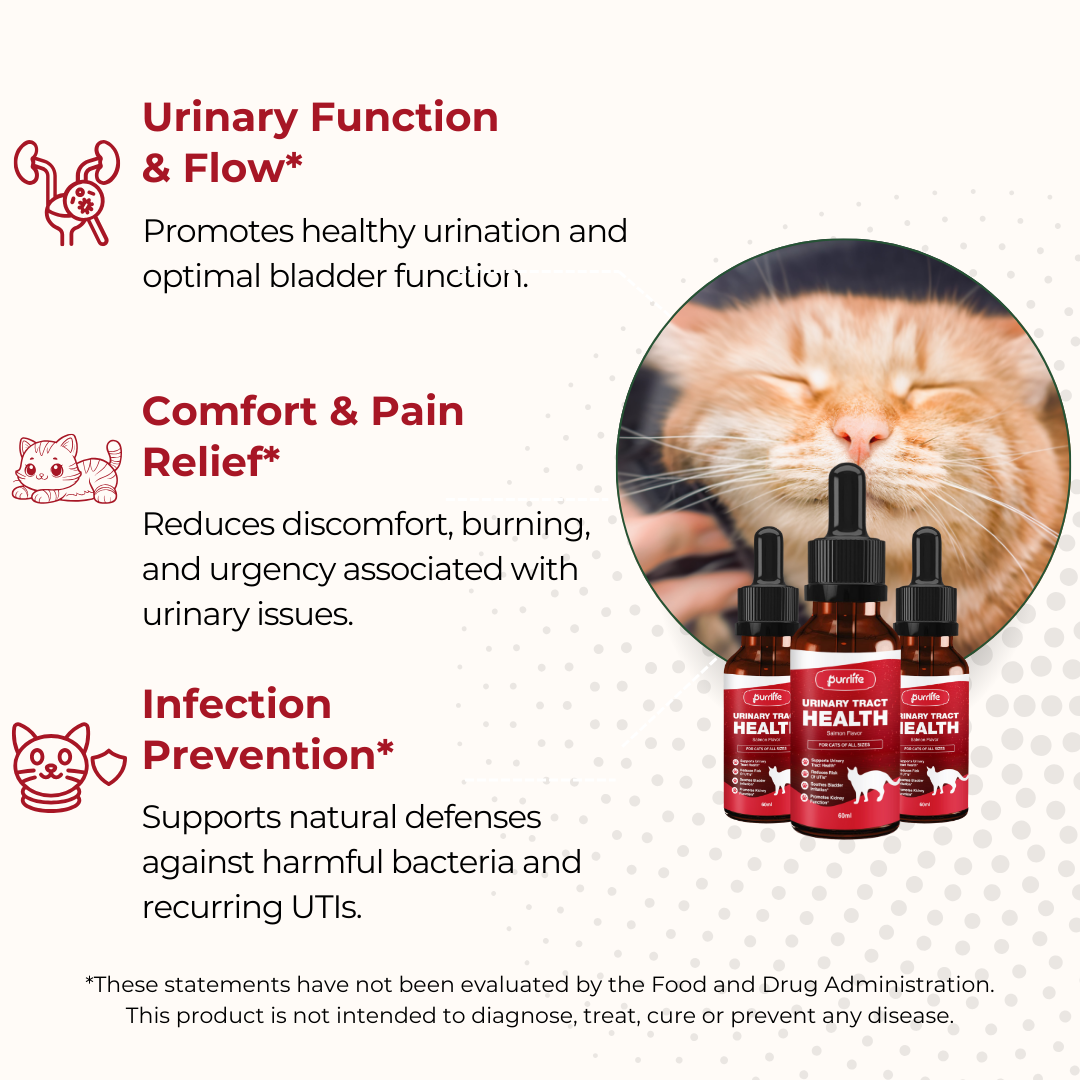 Urinary Tract Drops (2+2 FREE) - One Time Purchase