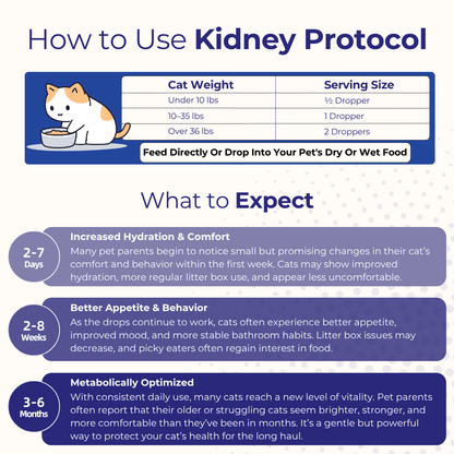 Kidney Support Drops (1+1 FREE)