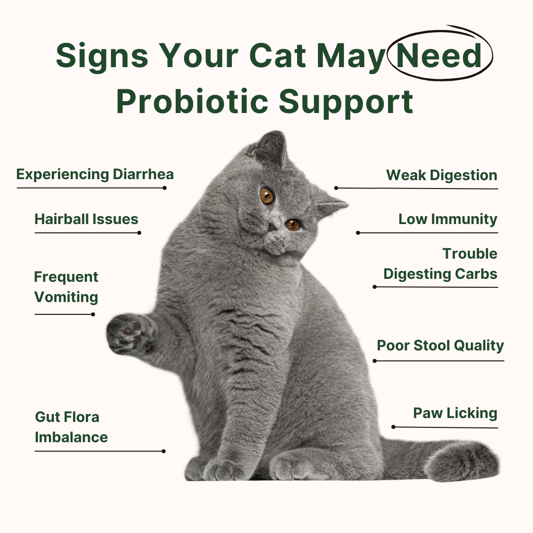 Feline Biome™ - Probiotic Cat Supplement