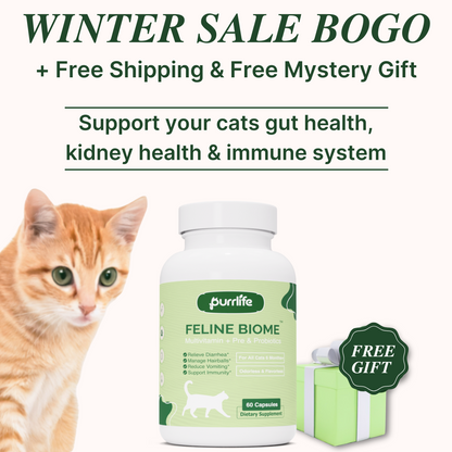 Feline Biome™ - Probiotic Cat Supplement