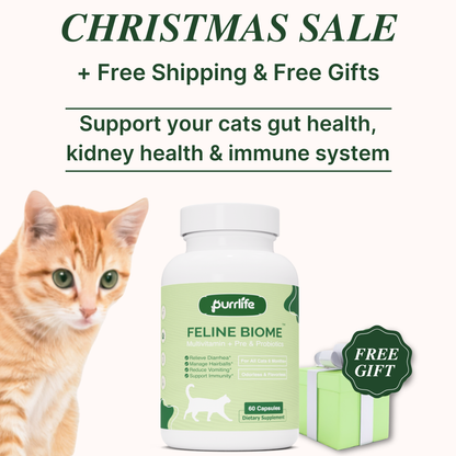 Feline Biome™ - Probiotic Cat Supplement