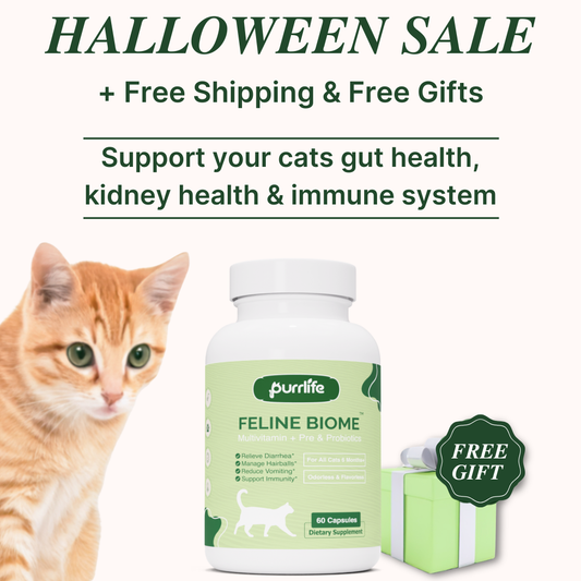 Feline Biome™ - Probiotic Cat Supplement