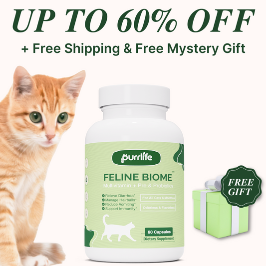 Feline Biome™ - Advanced Cat Health Formula