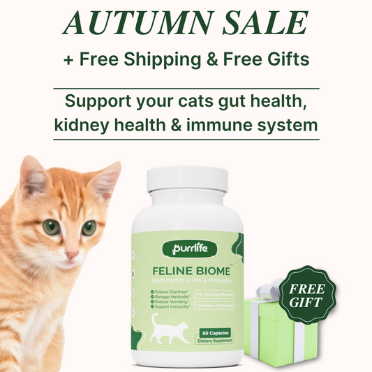 Feline Biome™ - Probiotic Cat Supplement