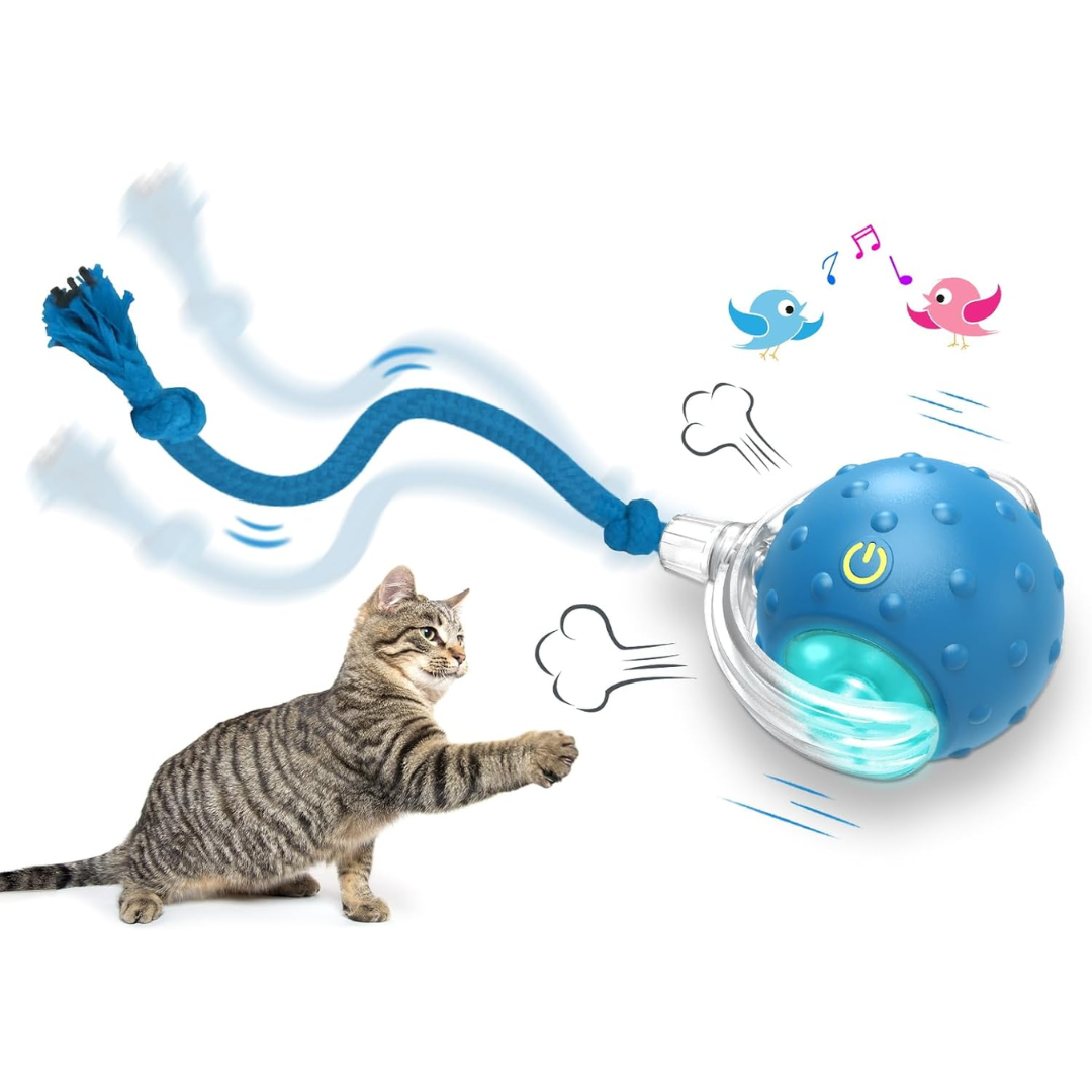 Interactive Cat Toys Ball for Indoor Cats Fast Rolling on Carpet